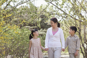 Grandmother holding hands with her two grandchildren and going for a walk in the park in springtime