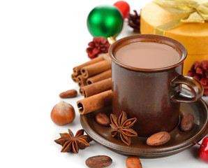 cocoa with cinnamon