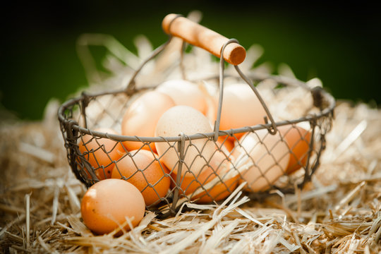 Fresh brown eggs in a metallic basket on straw