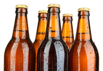 Beer bottles isolated on white