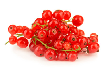 Red currant isolated on white
