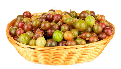 Fresh gooseberries in wicker basket isolated on white