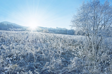 winter sunrise