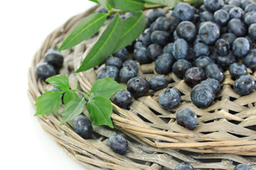 Blueberries on wicker tray isolated on white