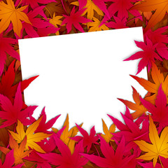 秋・紅葉・もみじ