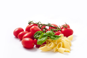 Pasta and tomatoes