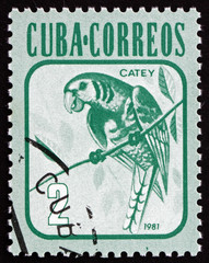 Postage stamp Cuba 1981 Parakeet, Bird