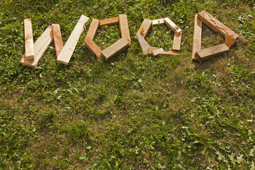 Word WOOD in wooden lettering on grass