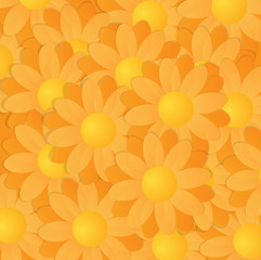 Yellow And Orange Gerberas