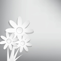 Vector abstract spring background with white flower