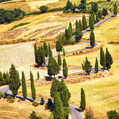 Naklejki  Cyprysowe drzewo malownicza droga w Monticchiello, Toskania, Włochy.