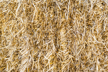 Hay background