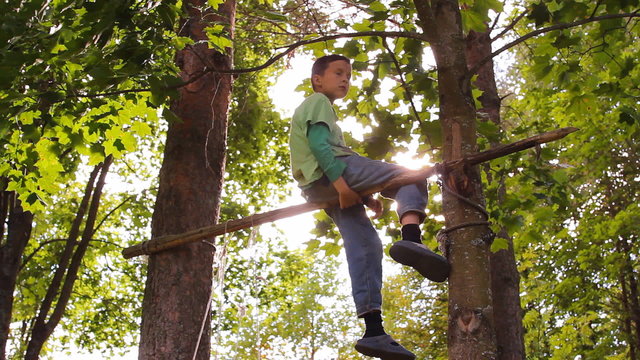 мальчик кувыркается на перекладине, лазает по дереву