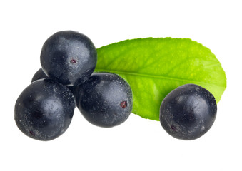 Amazon acai fruit with leaf isolated on white background.