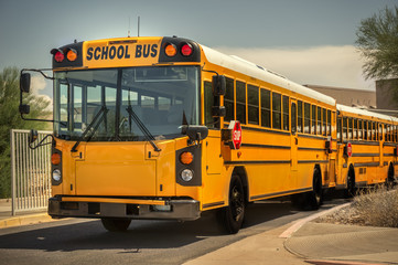 Plakat School Bus