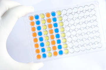 Colorful microplate
