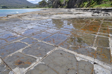 The Tessellated Pavement, natural phenomenon in Tasmania