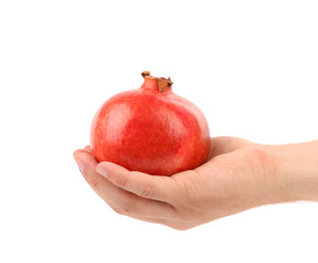 Hand holding red pomegranate
