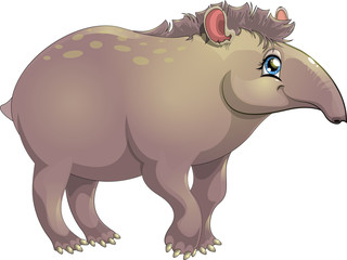 tapir