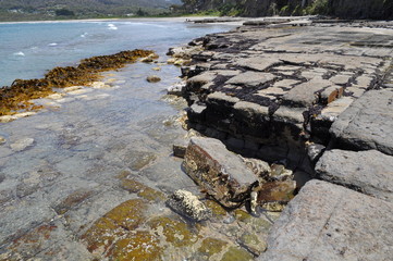 The Tessellated Pavement, natural phenomenon in Tasmania. Landsc