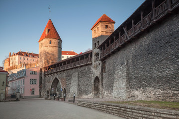 Fototapeta na wymiar Twierdza w starym mieście Tallinn rano