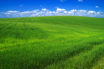 green field