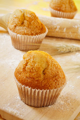 magdalenas, typical spanish plain muffins