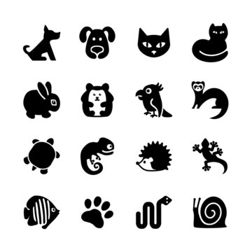 Set of 16 web icons. Pet shop, types of pets.