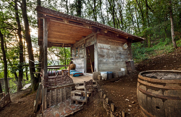 Wooden house