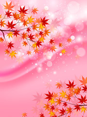 Fototapeta premium もみじ 紅葉 背景