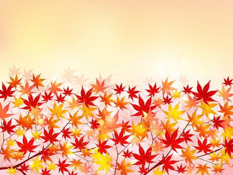 もみじ　紅葉　背景