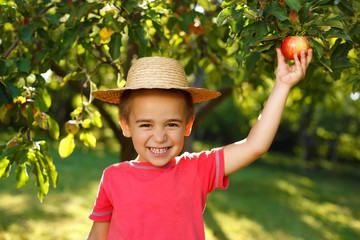 Smiling boy with apple