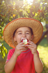 Boy eating apple in orchard
