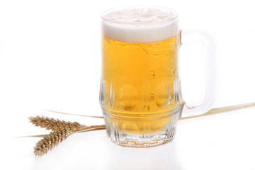 mug of beer