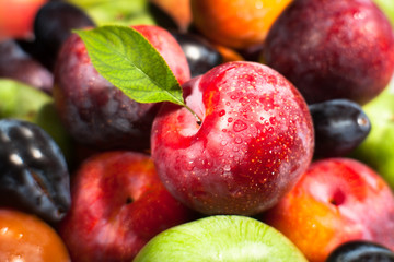 plum fruit mix