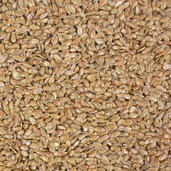 Close view raw flaxseed