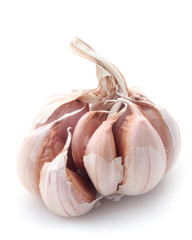 Garlic © MissesJones