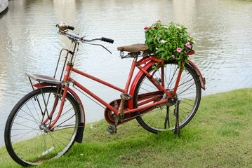 Fototapeta na wymiar Bicycle and flowers.