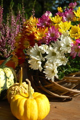 Herbstgrüße