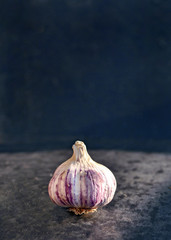 Gousse d'ail sur fond noir