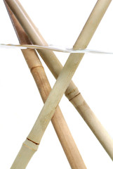 bamboo sticks under water