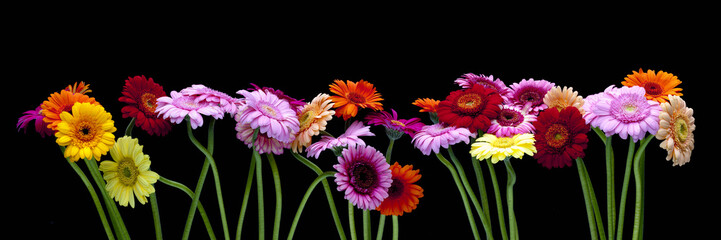 Arreglo floral sobre fondo negro.