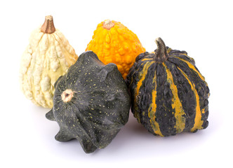 Decorative pumpkins collection isolated on white background