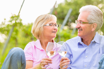 Happy seniors having picnic drinking wine