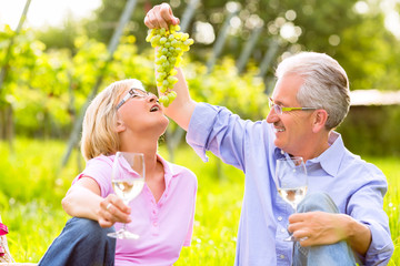 Fototapeta premium Happy seniors having picnic drinking wine