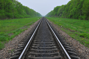 Fototapeta premium Railway in surroundings a green-leaf
