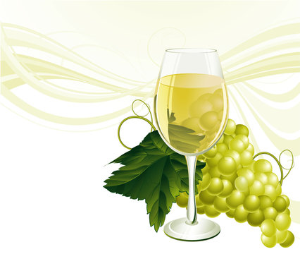 The glass of white wine and grape. Vector.