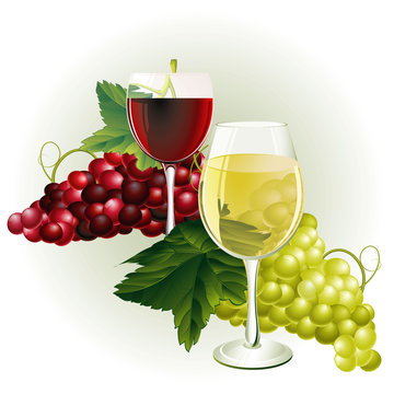 Wine and grapes. Vector.