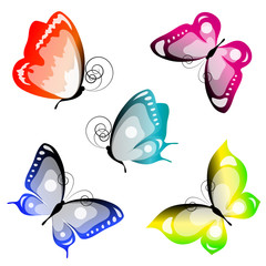 butterflies design