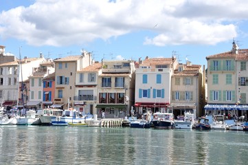 Fototapeta premium cassis